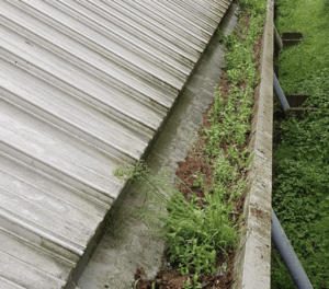 Happy customers in Wendover who trust The Roof Moss Cleaners for gutter cleaning services